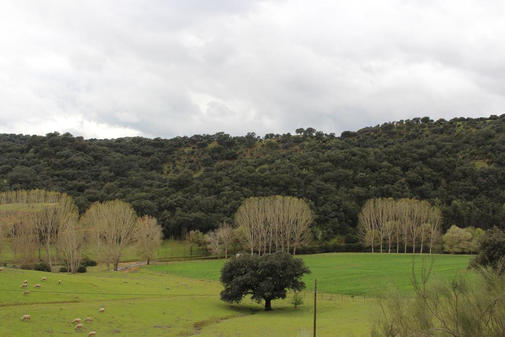 Camping La Fundicion Cazalla de la Sierra Exterior foto