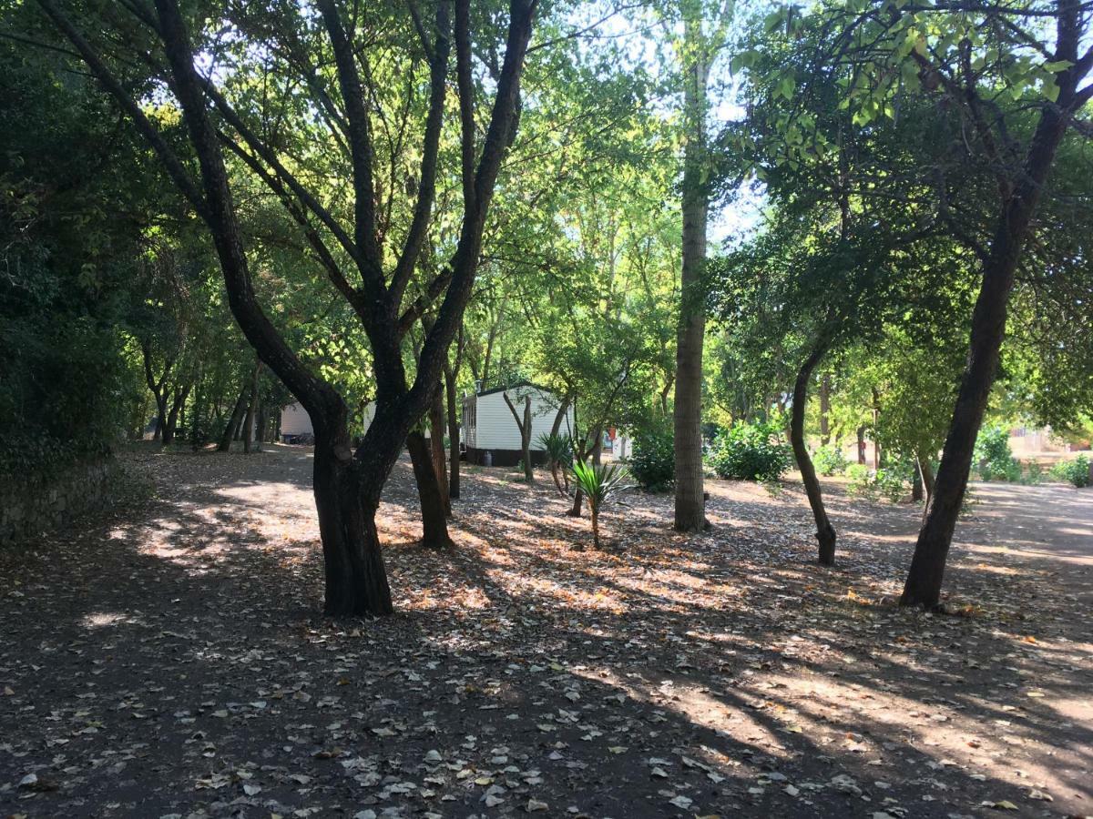 Camping La Fundicion Cazalla de la Sierra Habitación foto